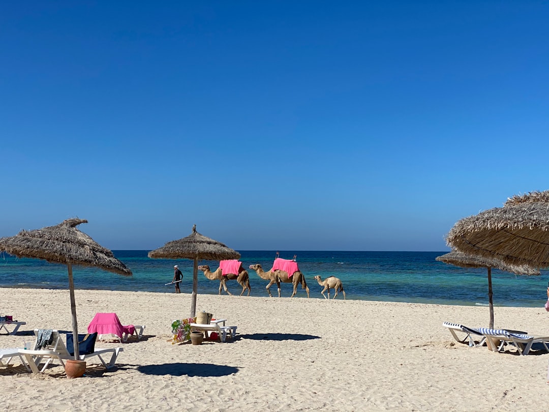 تونس فاخرة